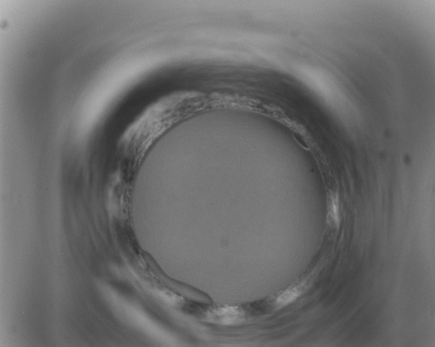 X0000080680431200612301429