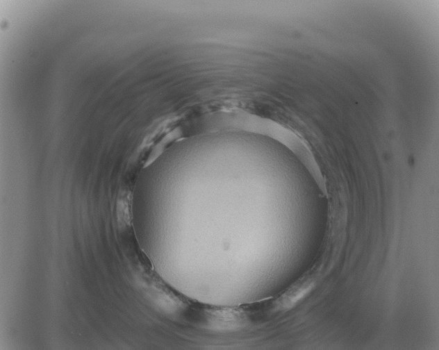 X0000080680432200612301429