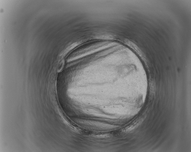 X0000080680433200612301428