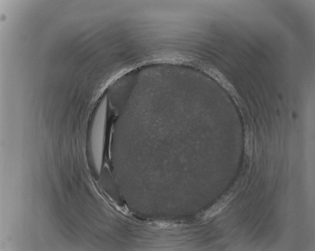 X0000080680434200612301428