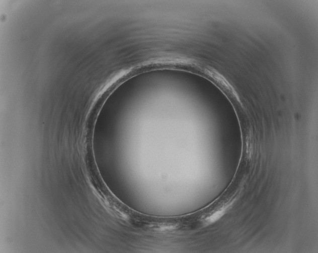 X0000080680436200612301428