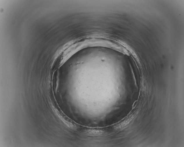 X0000080680437200612301428