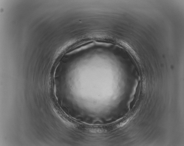 X0000080680439200612301428