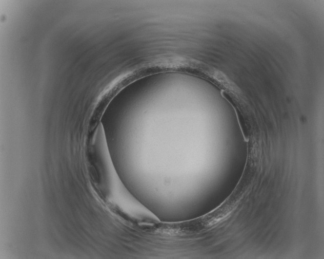 X0000080680440200612301429