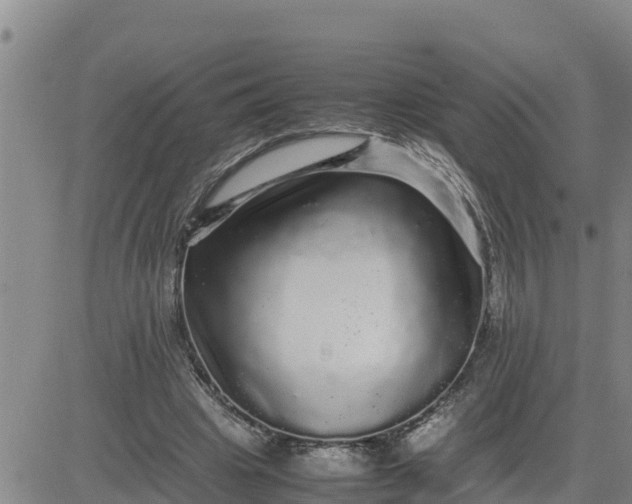 X0000080680441200612301429