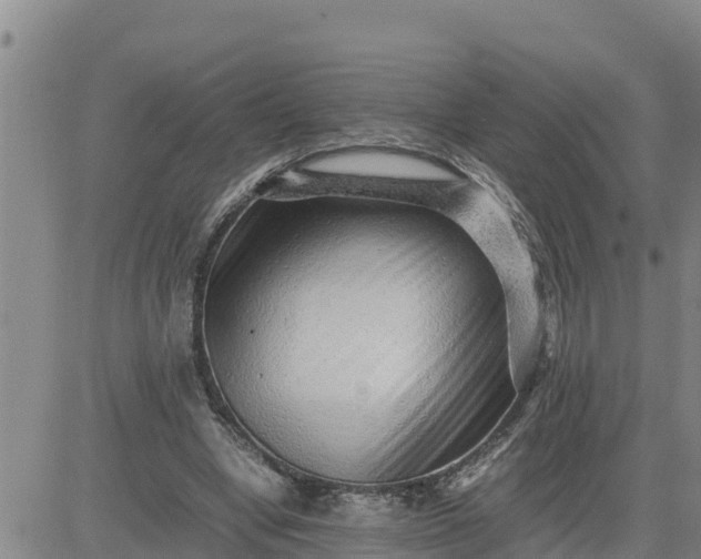 X0000080680442200612301429