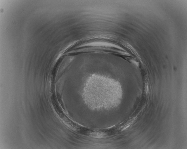 X0000080680444200612301429