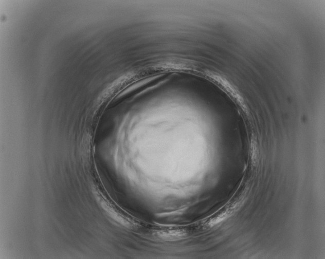 X0000080680445200612301429