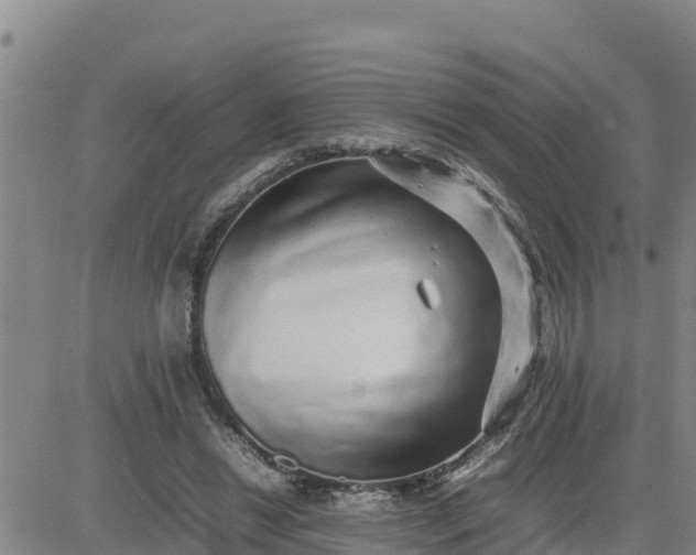 X0000080680446200612301429