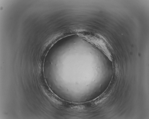 X0000080680447200612301429