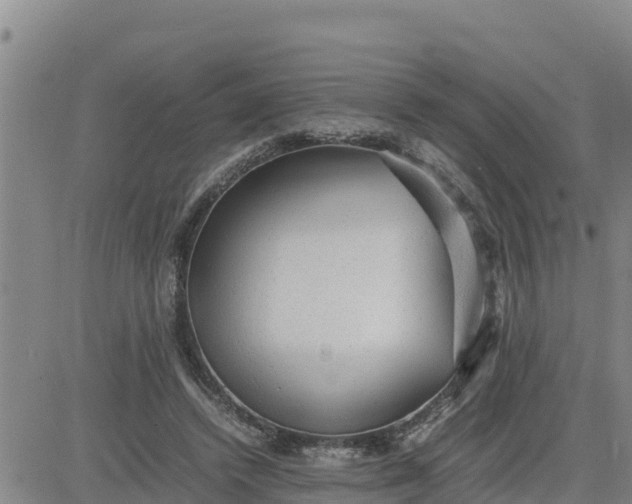 X0000080680448200612301429