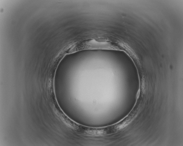 X0000080680449200612301429