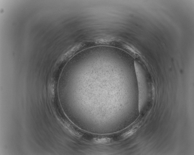 X0000080680452200612301429