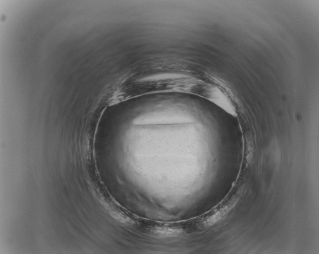 X0000080680453200612301429