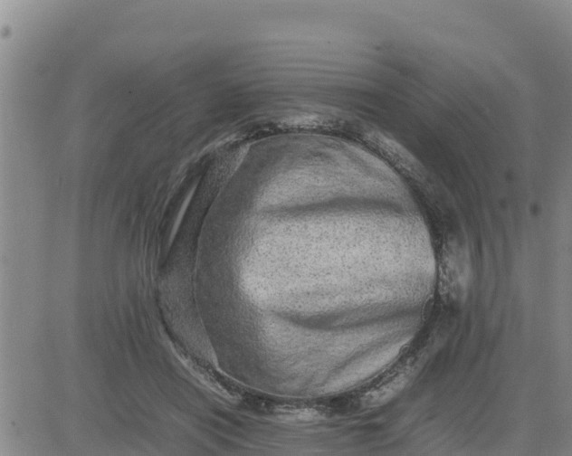 X0000080680454200612301429