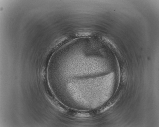 X0000080680455200612301429