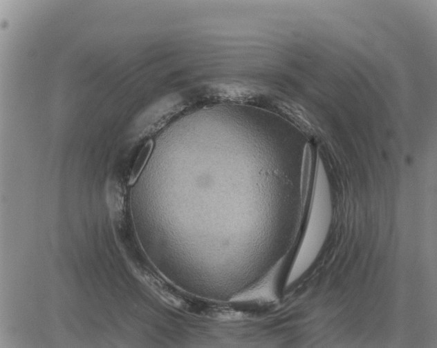 X0000080680456200612301429