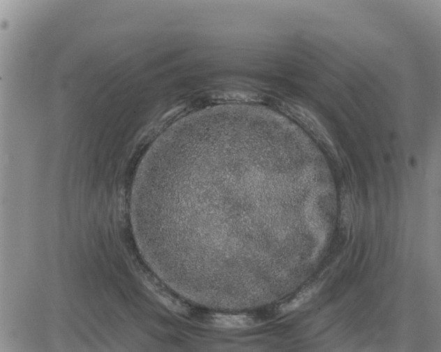 X0000080680457200612301429