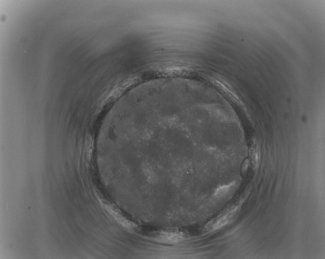 X0000080680458200612301429