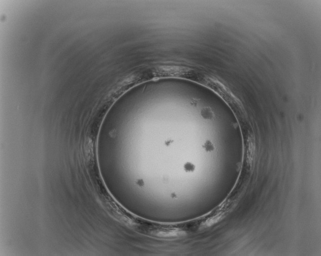 X0000080680459200612301429