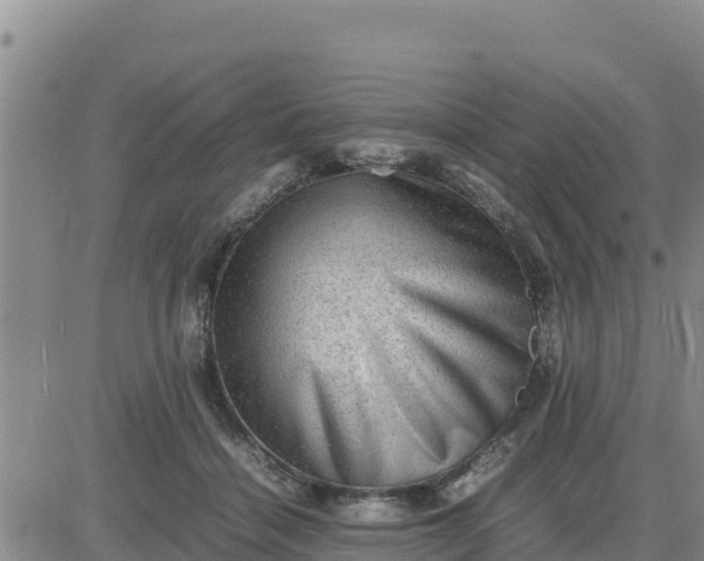 X0000080680460200612301429