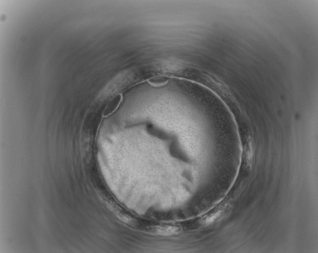 X0000080680462200612301429