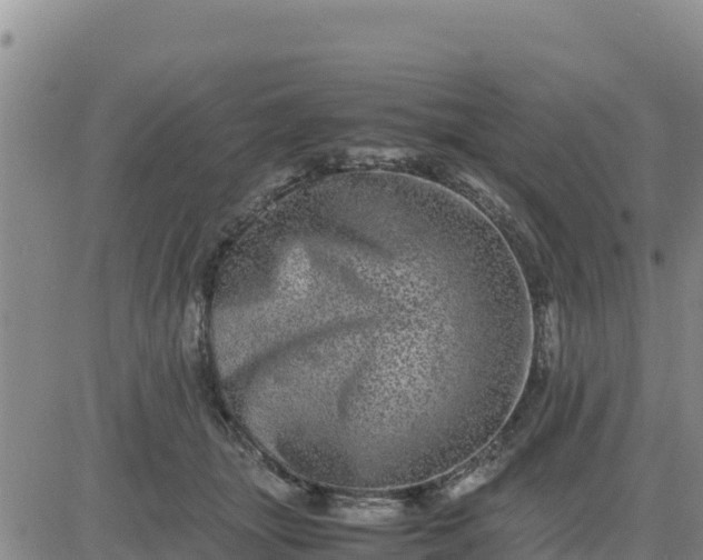 X0000080680463200612301429