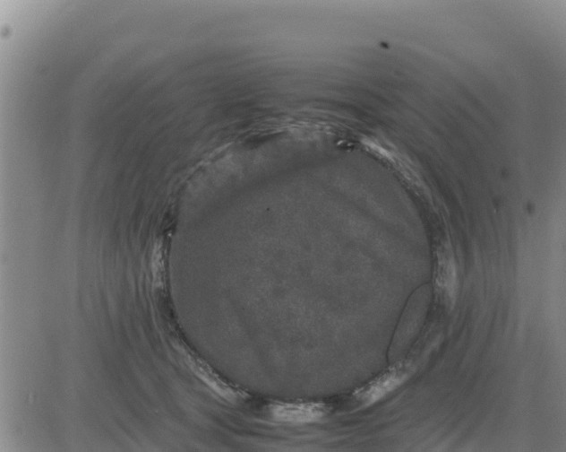 X0000080680465200612301429