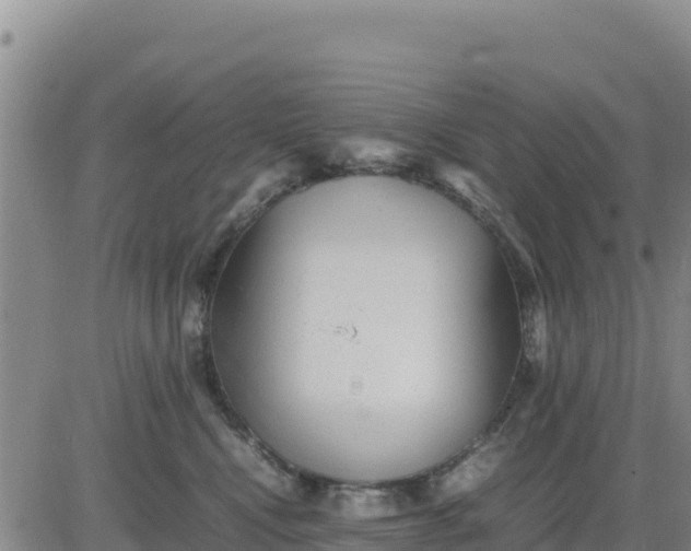 X0000080680472200612301429