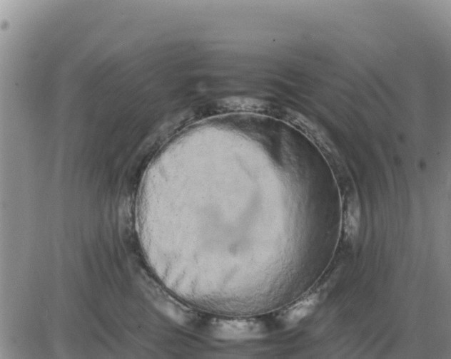 X0000080680473200612301429