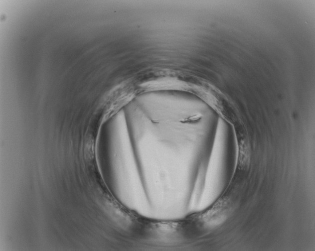 X0000080680474200612301429