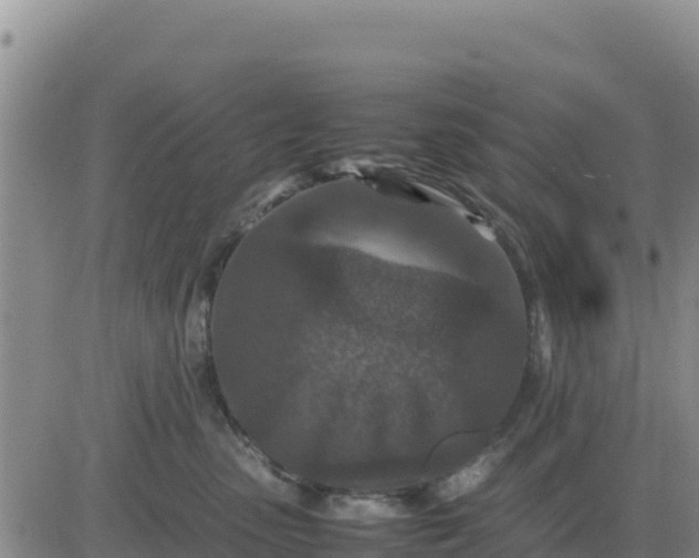 X0000080680475200612301429