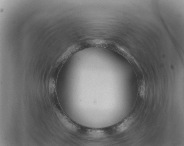 X0000080680476200612301429