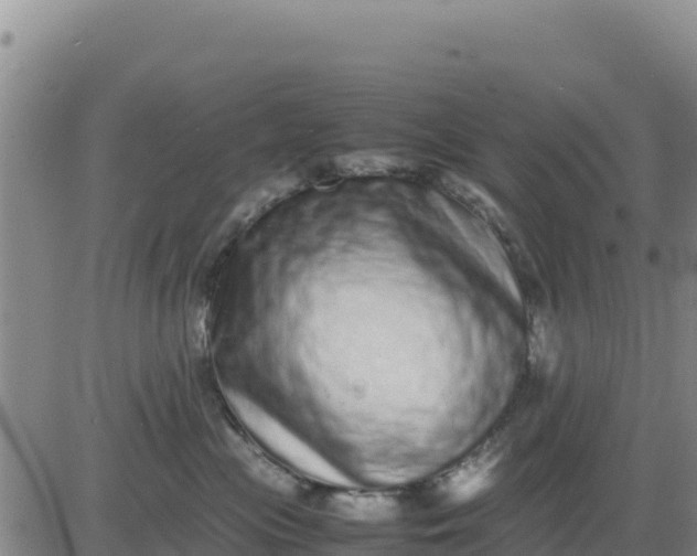 X0000080680477200612301429