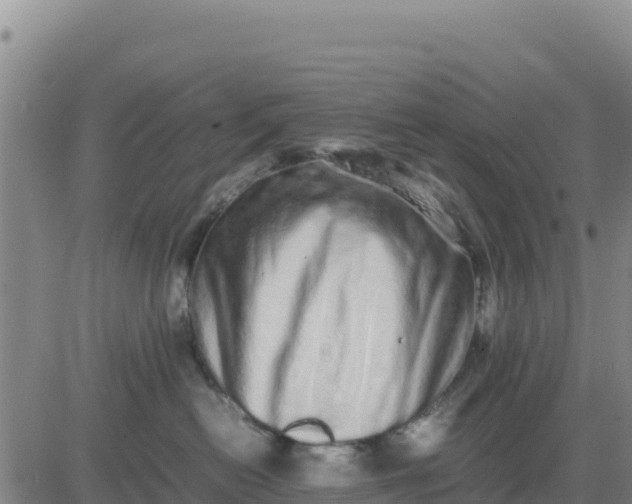 X0000080680478200612301429