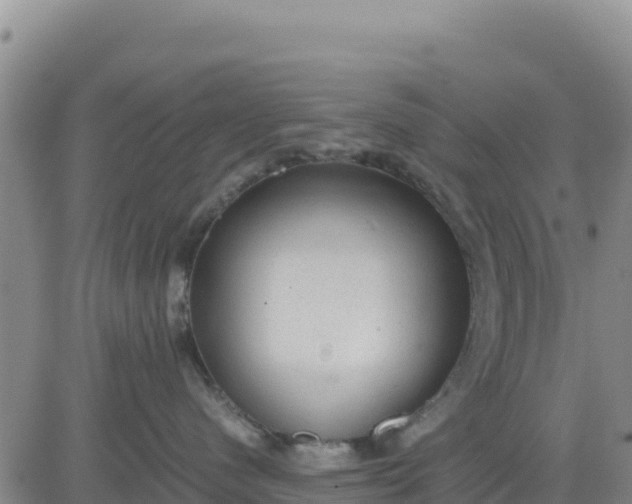 X0000080680480200612301429