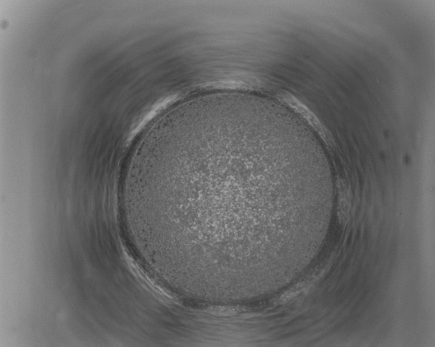 X0000080680482200612301428