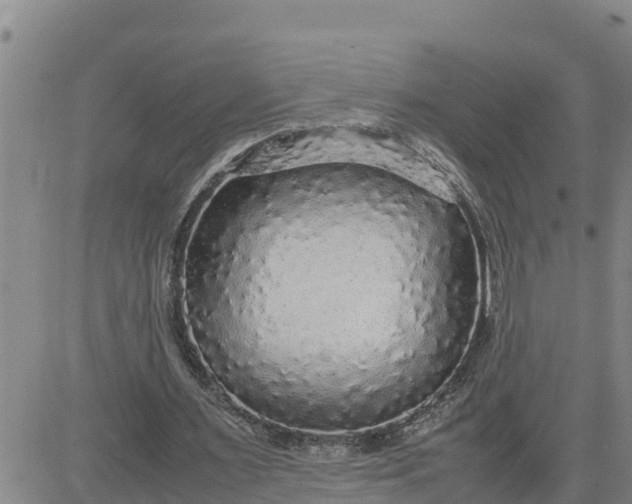 X0000080680483200612301428