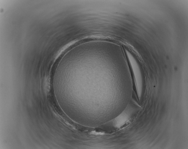 X0000080680484200612301428