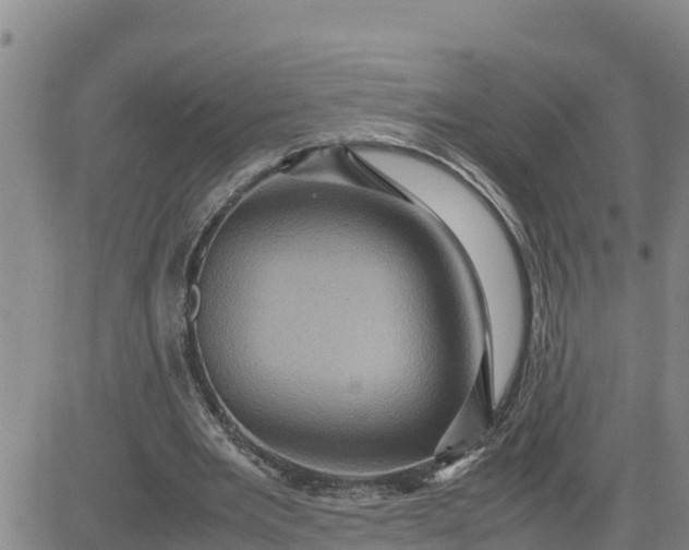 X0000080680485200612301428