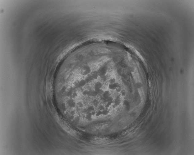 X0000080680487200612301428