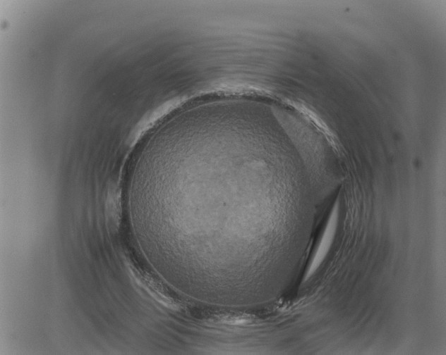 X0000080680488200612301428