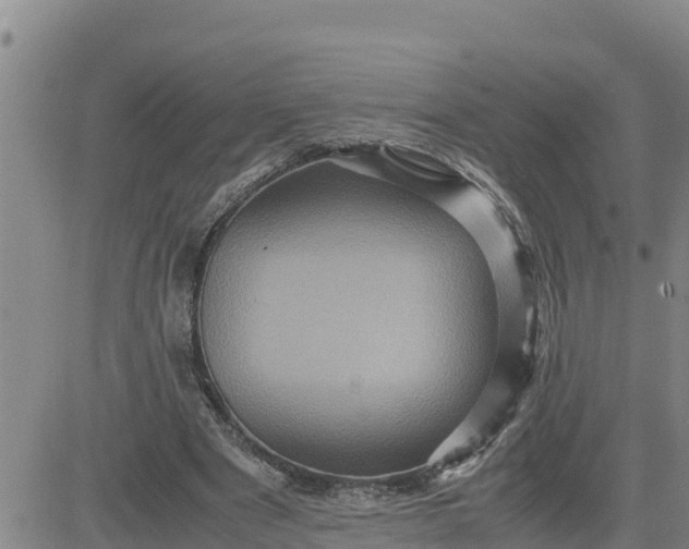 X0000080680489200612301428