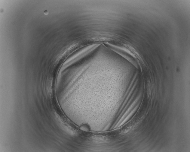 X0000080680490200612301428