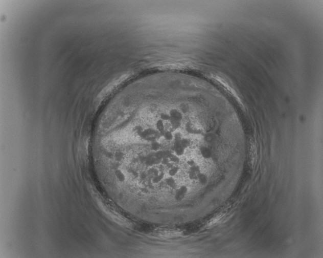 X0000080680491200612301428