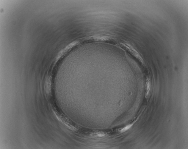 X0000080680492200612301428