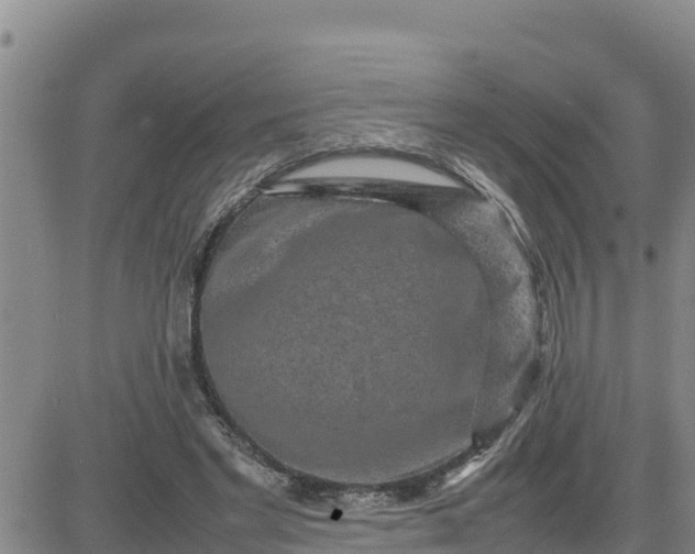 X0000080680493200612301428