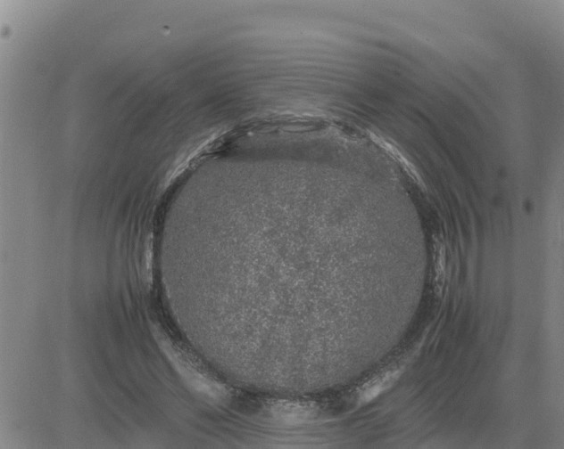 X0000080680494200612301428