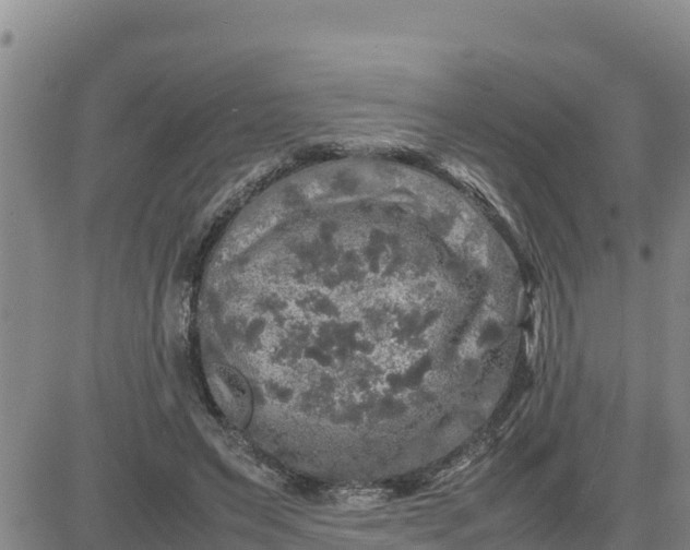 X0000080680495200612301428