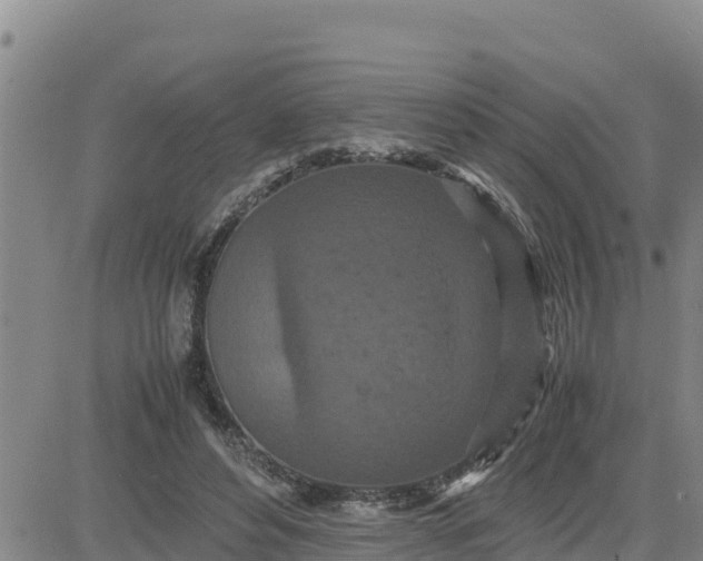 X0000080680496200612301428